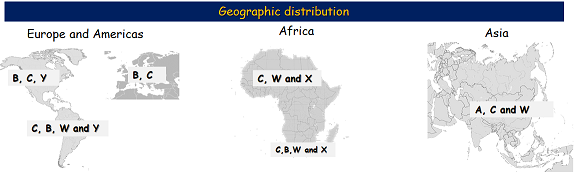 Geographic distribution of meningococcal serogroups