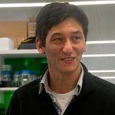 Prof Chris Tang image