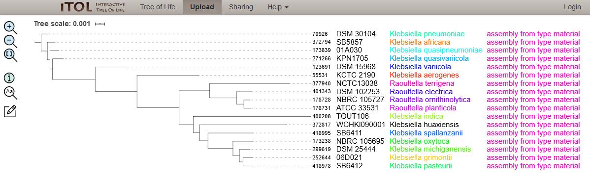 Phylogenetic tree demonstrating the 13 Klebsiella and 4 Raoultella type strains.