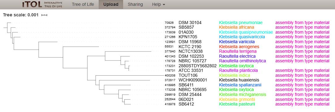 Phylogenetic tree of 17 type strain isolates in the Klebsiella/Raoultella genera with one entry from NCBI Assembly, Strain: 2880STDY5682802 (ID:173231) annotated as Klebsiella oxytoca (as of 8th July 2020). The tree was calculated from the concatenated alleles of 51 rMLST loci. The isolate clusters with the type strain for Raoultella planticola.