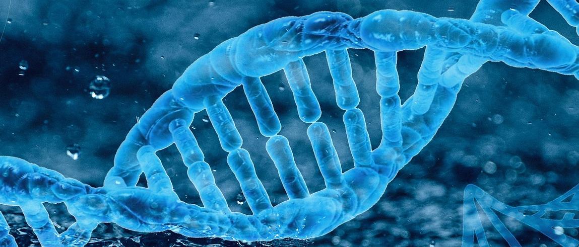 Schematic image of a double stranded DNA image coloured blue