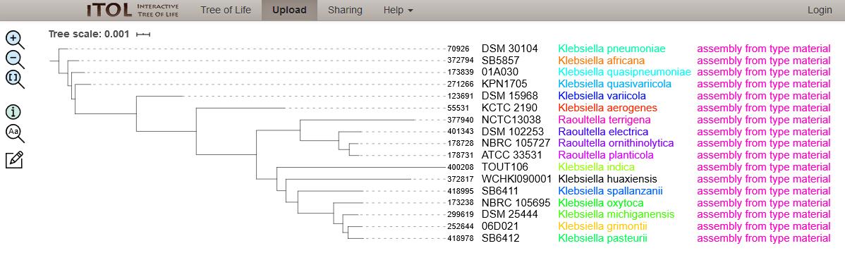 Phylogenetic tree of 17 Klebsiella/Raoultella type strain isolates. The neighbour-joining tree was calculated from the concatenated alleles of 51 rMLST loci and visualised using the Interactive Tree of Life (ITOL) website.