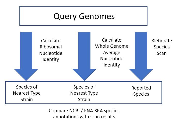 Figure 3: Three automated methods were used to analyse the species annotations of Klebsiella and Raoultella isolates. rMLST Ribosomal Nucleotide Identity, wgANI and the Kleborate species scanner were applied to the query genomes and the results were compared with the species annotation obtained from the source database. 