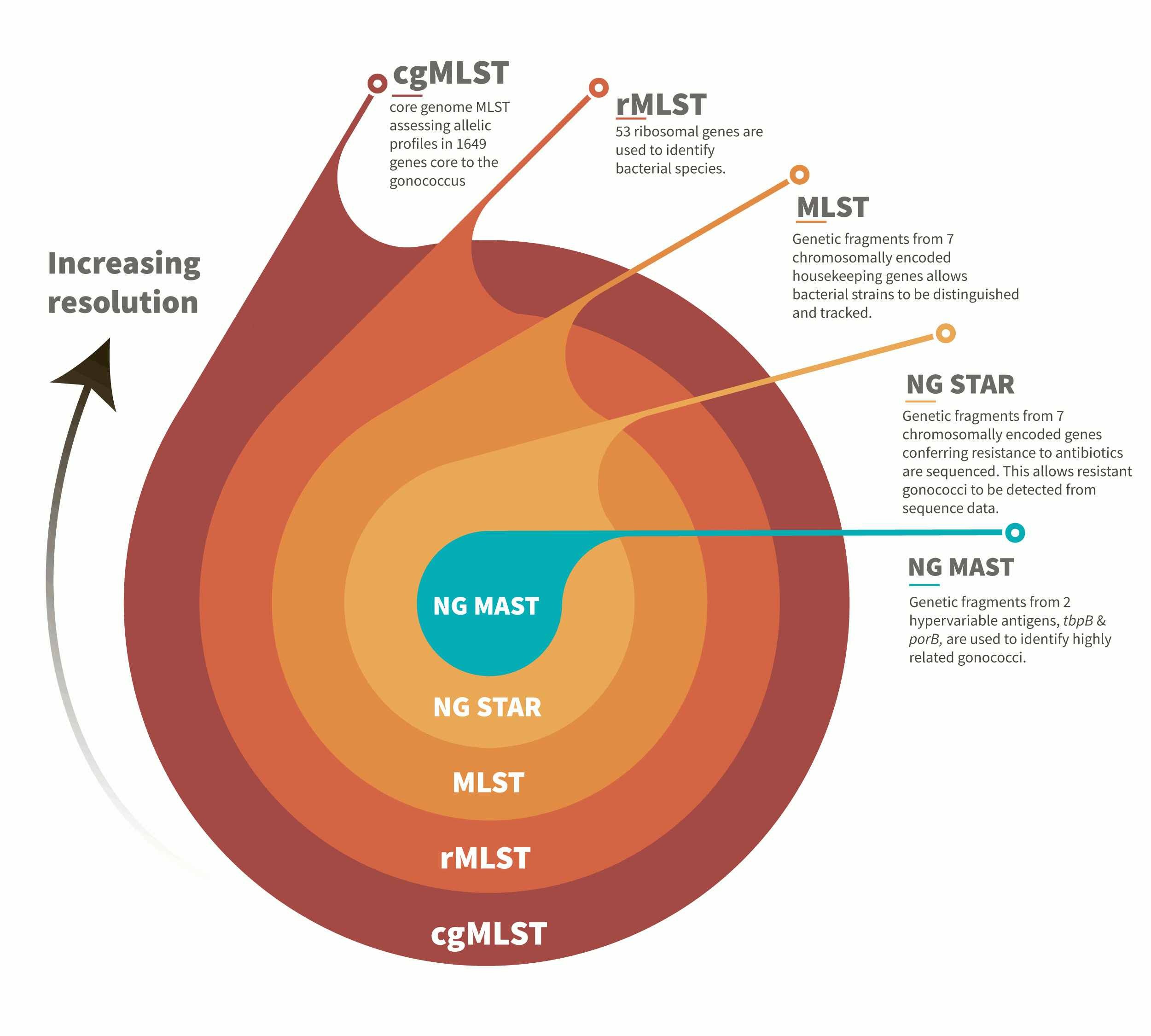 MLST schemes concentric circles